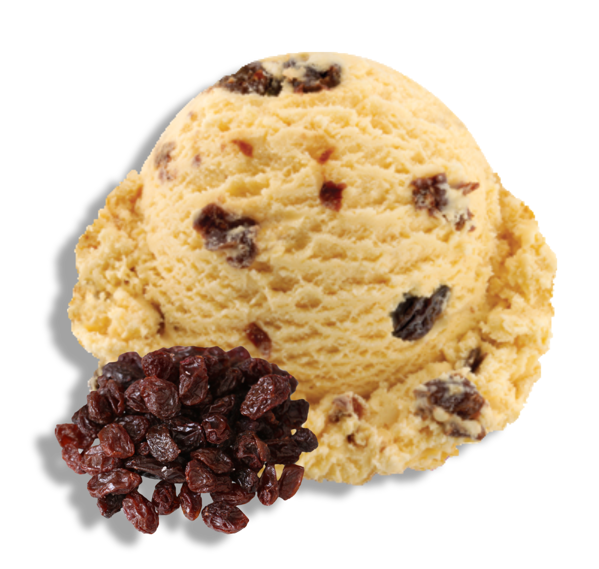 rum_rasin_ice_cream